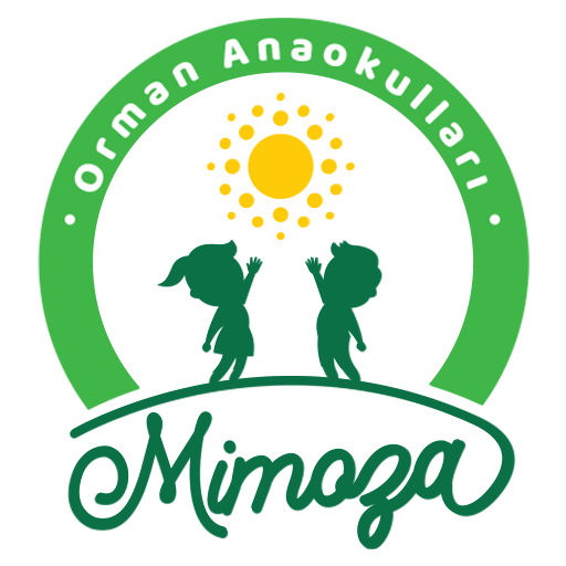 mimoza arkası beyaz